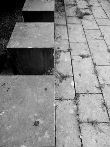 DSCN0346 - Copie