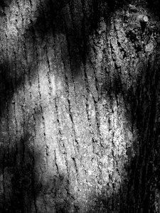 DSCN0313 - Copie