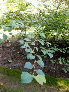 DSCN0280
