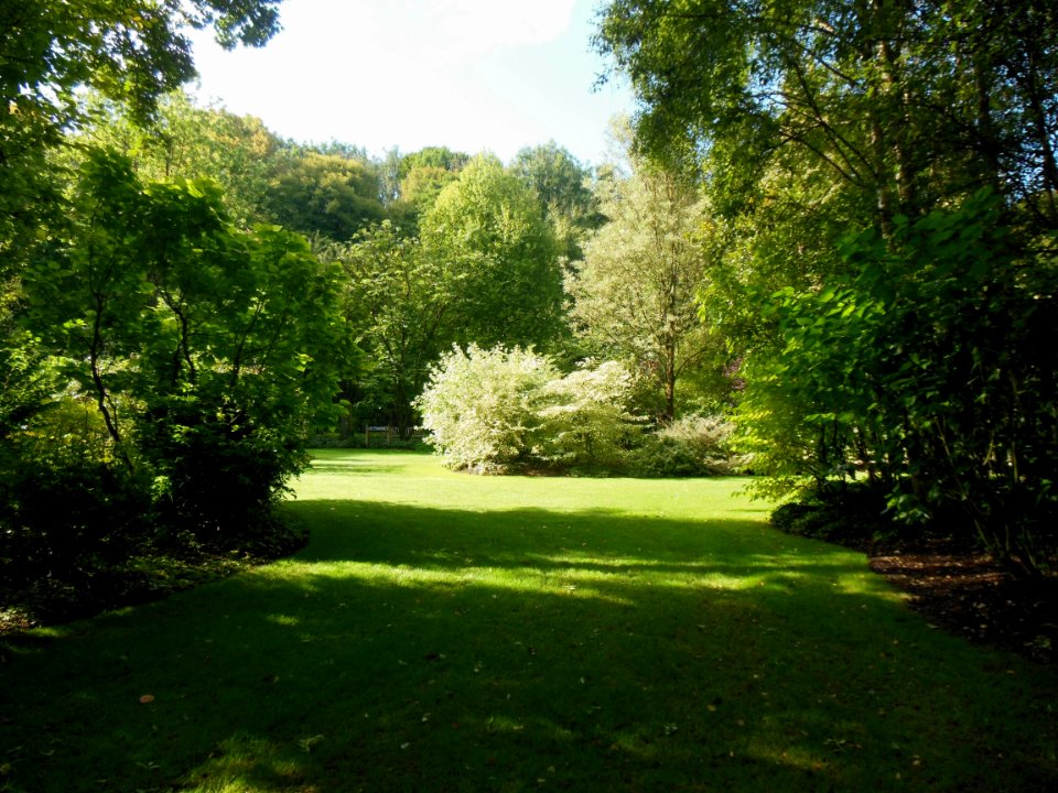 DSCN0239