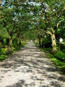 DSCN0231