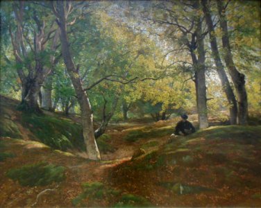Hêtraie dans la forêt de Fontainebleau, Constant Dutilleux…