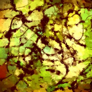 The Paths We Travel #2