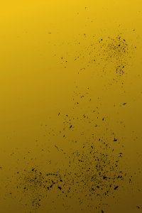 IMG_3447