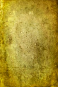 7pe7