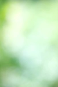 IMG_0722-82