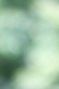 IMG_0723-83