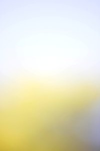 IMG_0711-77
