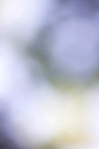 IMG_0710-76