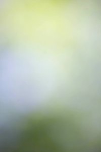 IMG_0708-75