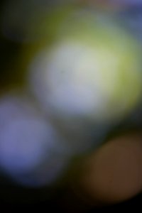 IMG_0687-61