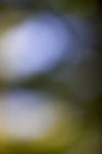 IMG_0674-51