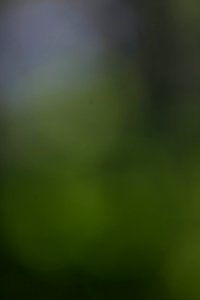IMG_0673-50