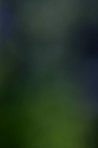 IMG_0672-49