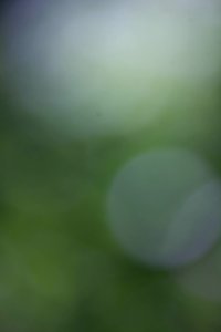IMG_0659-38
