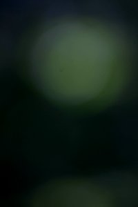 IMG_0658-37