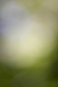 IMG_0657-36