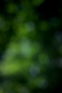 IMG_0643-22