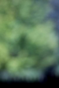 IMG_0640-20