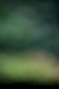 IMG_0619-4