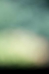 IMG_0617-3
