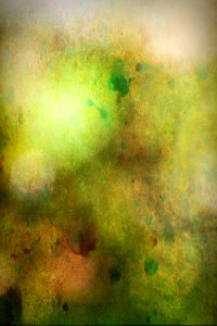 IMG_2182-Edit-1