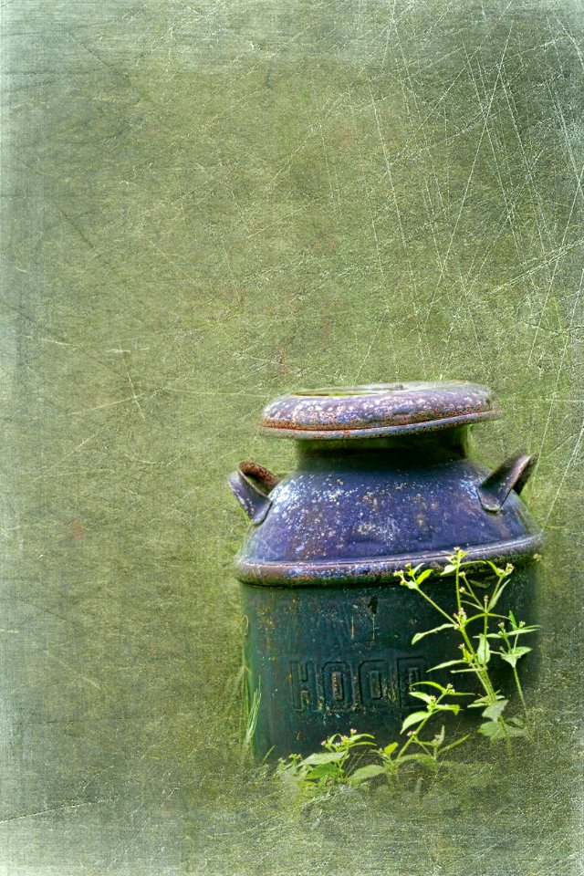 IMG_5759-Edit-1