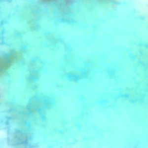 Canvas3