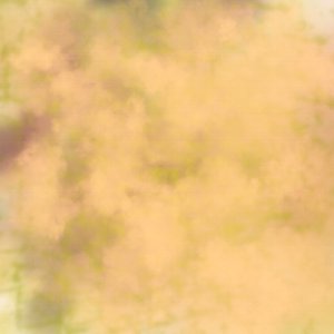 Canvas2