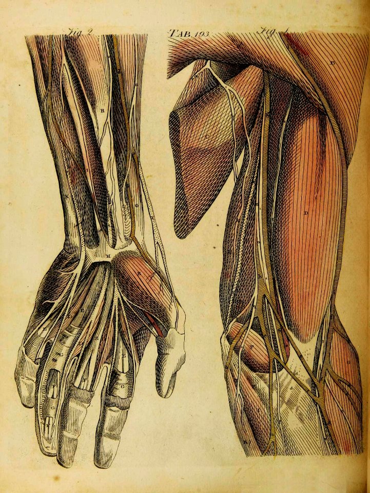 04989856_5934_0302