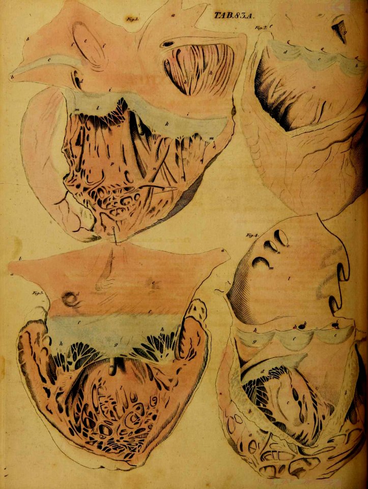 04989856_5936_0216