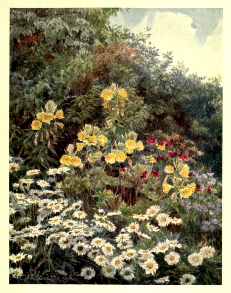 gardenthatilove_0015