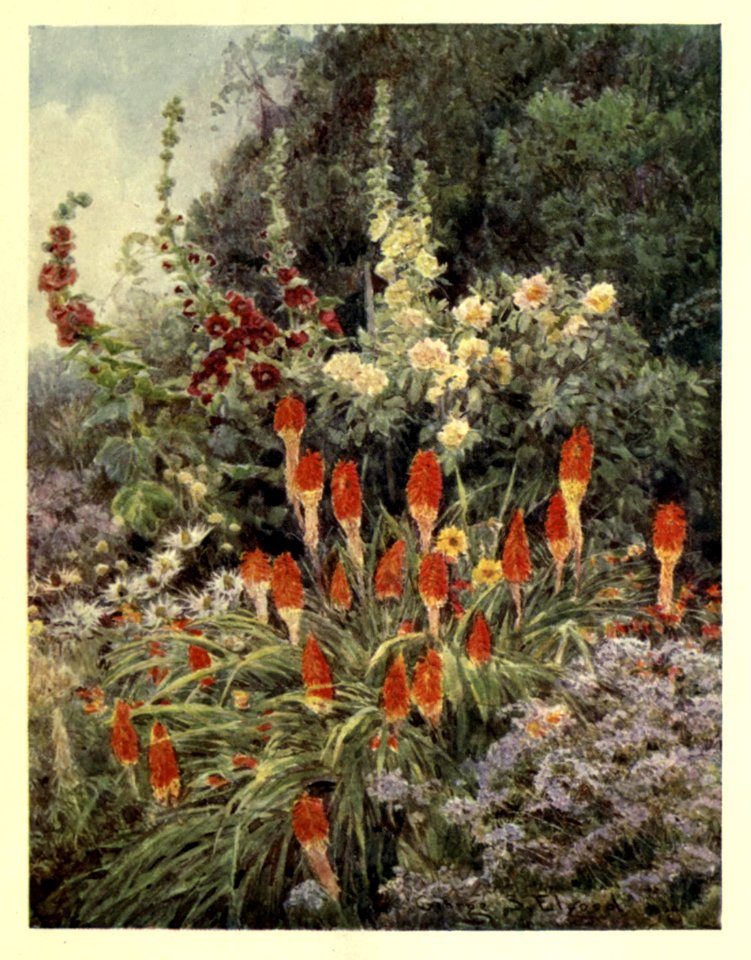 gardenthatilove_0013