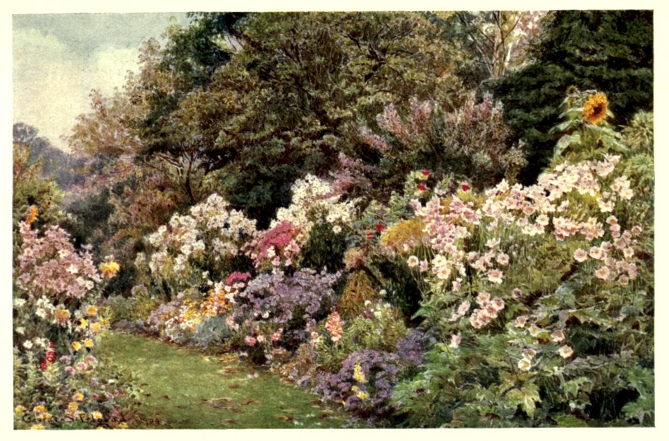 gardenthatilove_0012
