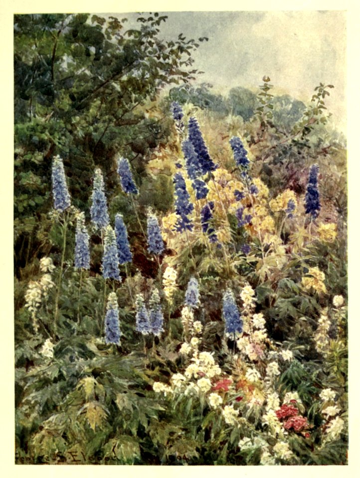 gardenthatilove_0008