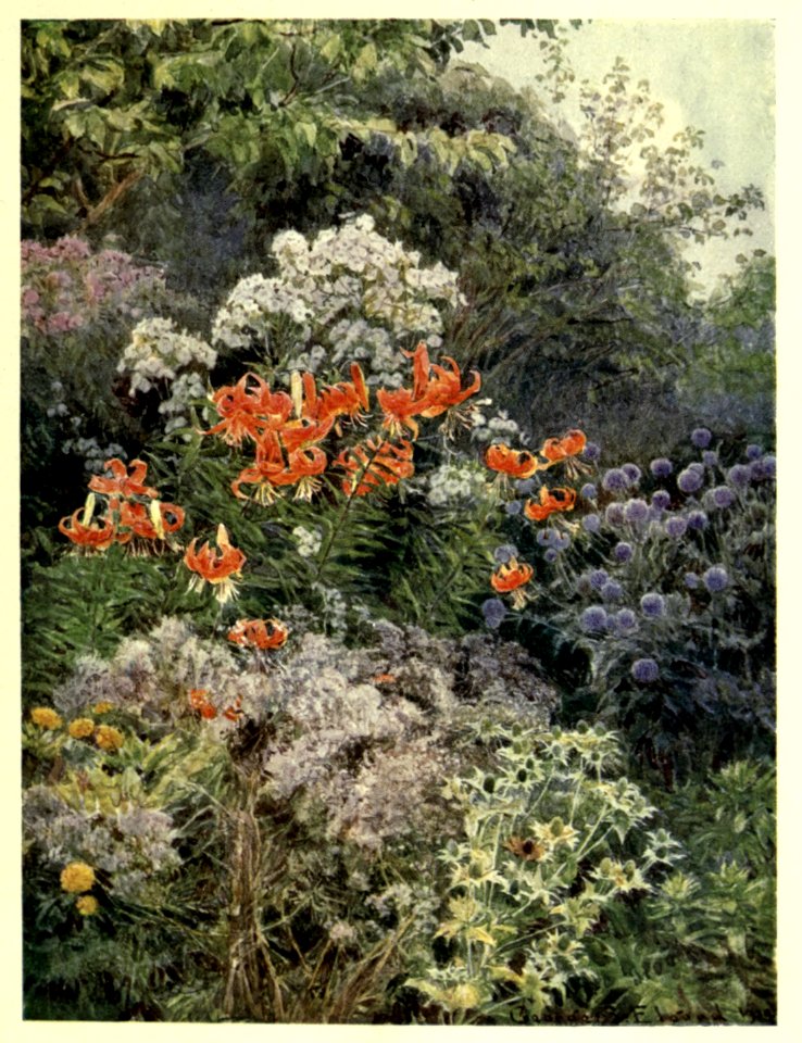 gardenthatilove_0006