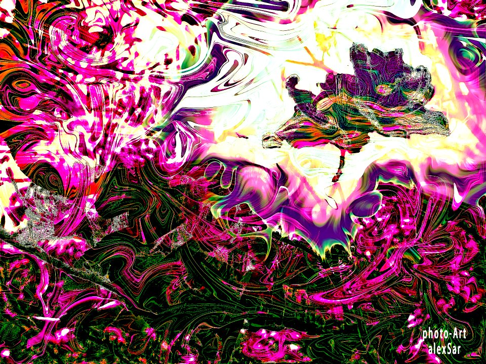 bouquet