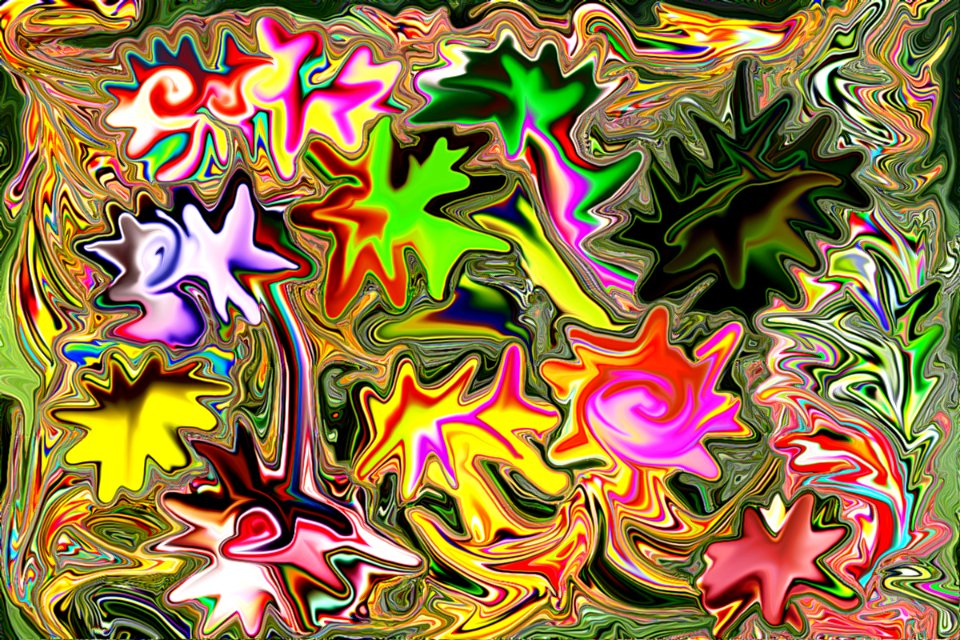 stars