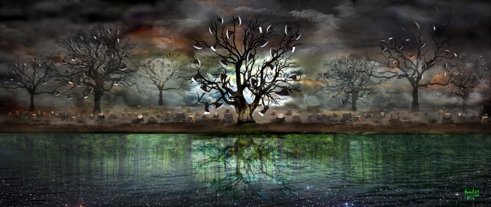 AX TREE - Illegal logging