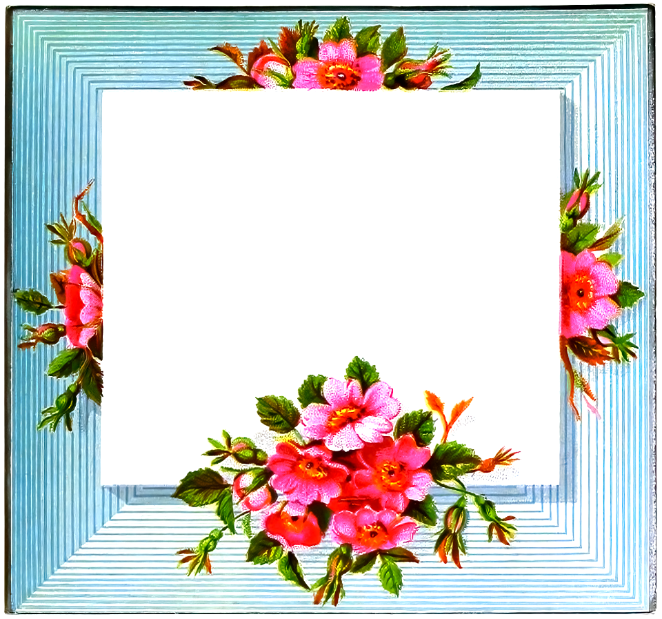 floral border - Free Stock Illustrations | Creazilla