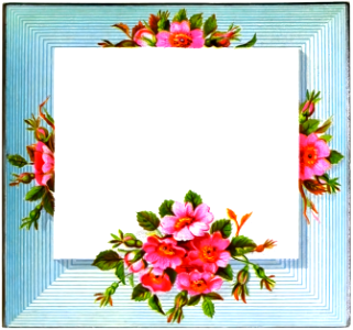 floral border. Free illustration for personal and commercial use.