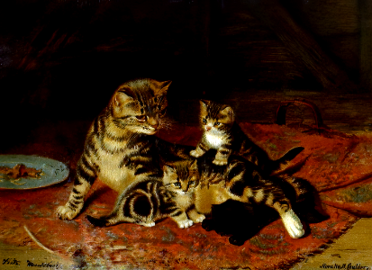 cat kittens rug