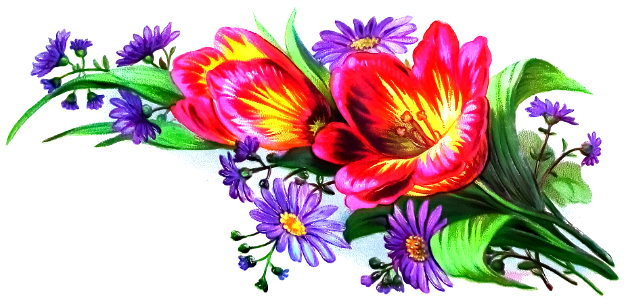 Floral bouquet. Free illustration for personal and commercial use.