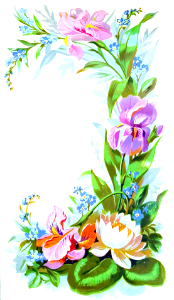 Floral border