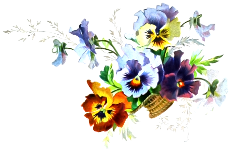 floral bouquet. Free illustration for personal and commercial use.