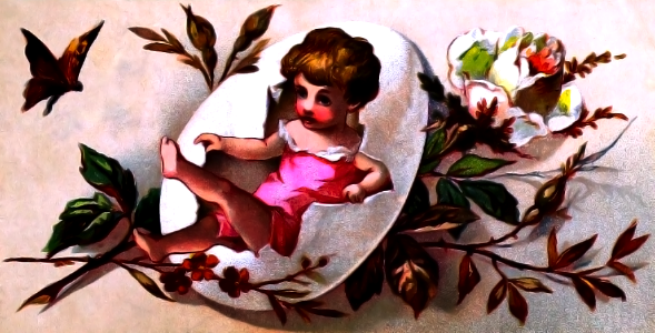 Birds flowers little girl
