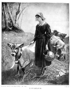 Milkmaid Cows