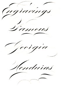 Calligraphy Words. Free illustration for personal and commercial use.