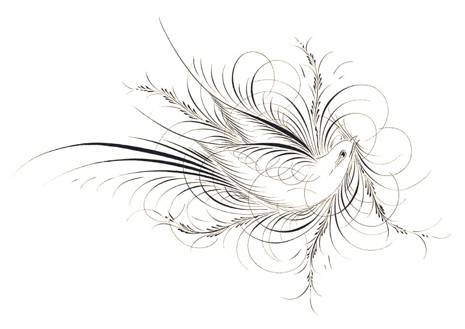 Calligraphy Dove - Free Stock Illustrations | Creazilla