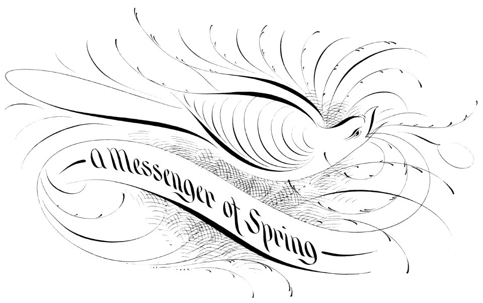 A Messenger of Spring